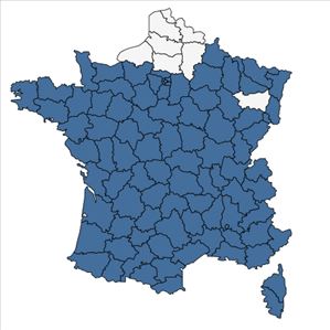 Répartition de Populus nigra L. en France