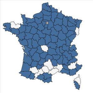 Répartition de Potamogeton berchtoldii Fieber en France
