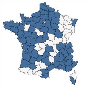 Répartition de Potamogeton coloratus Hornem. en France