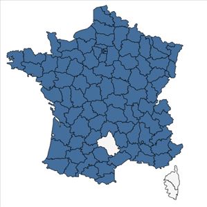 Répartition de Potamogeton crispus L. en France