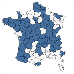 Répartition de Potamogeton gramineus L. en France