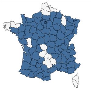 Répartition de Potamogeton nodosus Poir. en France