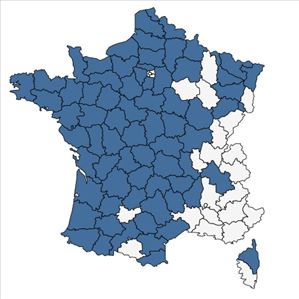 Répartition de Potamogeton polygonifolius Pourr. en France