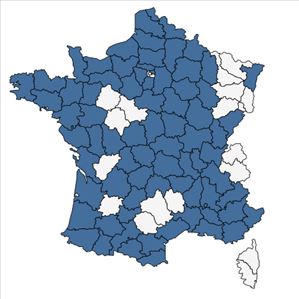 Répartition de Potamogeton pusillus L. en France