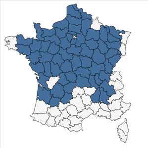 Répartition de Potamogeton trichoides Cham. & Schltdl. en France