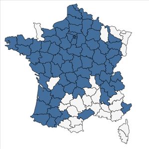 Répartition de Potentilla indica (Andrews) Th.Wolf en France