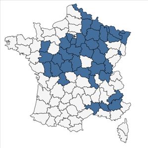 Répartition de Potentilla supina L. en France