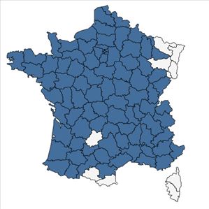 Répartition de Primula vulgaris Huds. en France