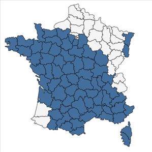 Répartition de Prospero autumnale (L.) Speta en France