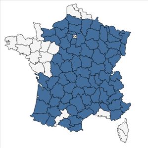 Répartition de Prunella grandiflora (L.) Schöller en France