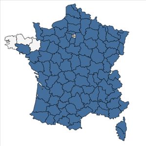 Répartition de Prunella laciniata (L.) L. en France