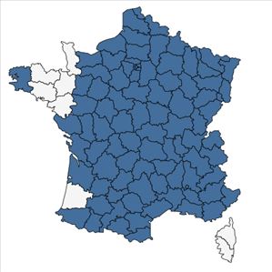 Répartition de Prunus mahaleb L. en France