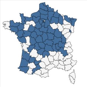 Répartition de Prunus serotina Ehrh. en France