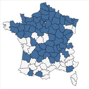 Répartition de Pseudofumaria lutea (L.) Borkh. en France