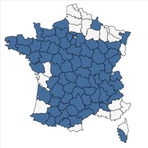 Répartition de Pseudotsuga menziesii (Mirb.) Franco en France
