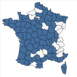 Répartition de Pulicaria vulgaris Gaertn. en France