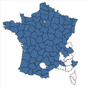 Répartition de Pyrus communis subsp. pyraster (L.) Ehrh. en France