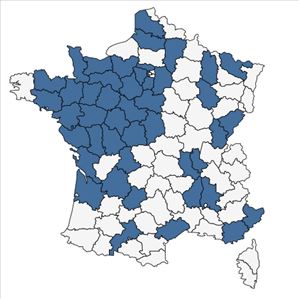 Répartition de Quercus cerris L. en France