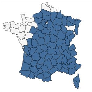 Répartition de Quercus pubescens Willd. en France