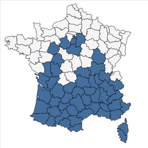 Répartition de Quercus ilex L. en France