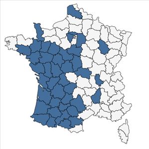 Répartition de Quercus pyrenaica Willd. en France