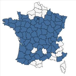 Répartition de Quercus rubra L. en France