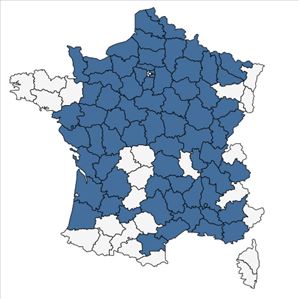 Répartition de Ranunculus circinatus Sibth. en France