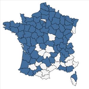 Répartition de Ranunculus lingua L. en France