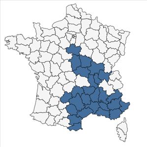 Répartition de Ranunculus monspeliacus L. en France