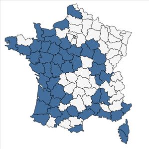 Répartition de Ranunculus ophioglossifolius Vill. en France