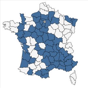 Répartition de Armeria arenaria (Pers.) Schult. en France