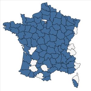 Répartition de Ranunculus peltatus Schrank en France