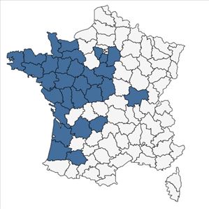 Répartition de Ranunculus tripartitus DC. en France