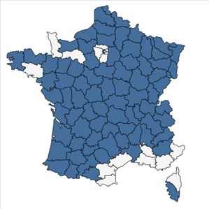 Répartition de Ranunculus tuberosus Lapeyr. en France