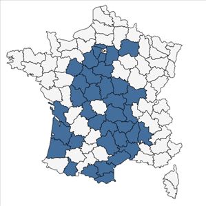 Répartition de Armeria arenaria (Pers.) Schult. subsp. arenaria en France