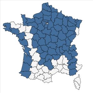 Répartition de Ribes nigrum L. en France