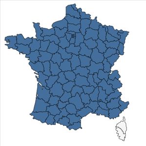 Répartition de Robinia pseudoacacia L. en France