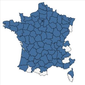 Répartition de Rorippa amphibia (L.) Besser en France