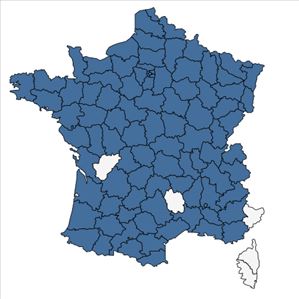 Répartition de Rorippa palustris (L.) Besser en France