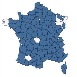 Répartition de Rosa agrestis Savi en France