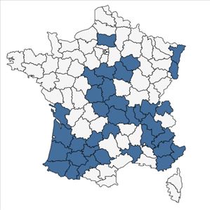 Répartition de Rosa gallica L. en France