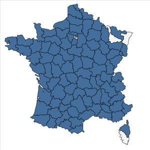 Répartition de Rosa micrantha Borrer ex Sm. en France