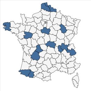 Répartition de Rosa multiflora Thunb. en France