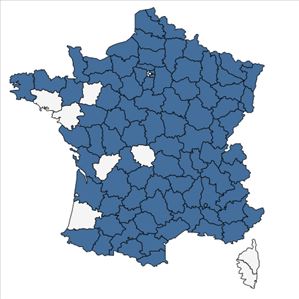 Répartition de Rosa rubiginosa L. en France