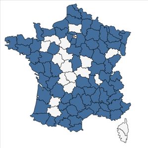 Répartition de Rosa spinosissima L. en France